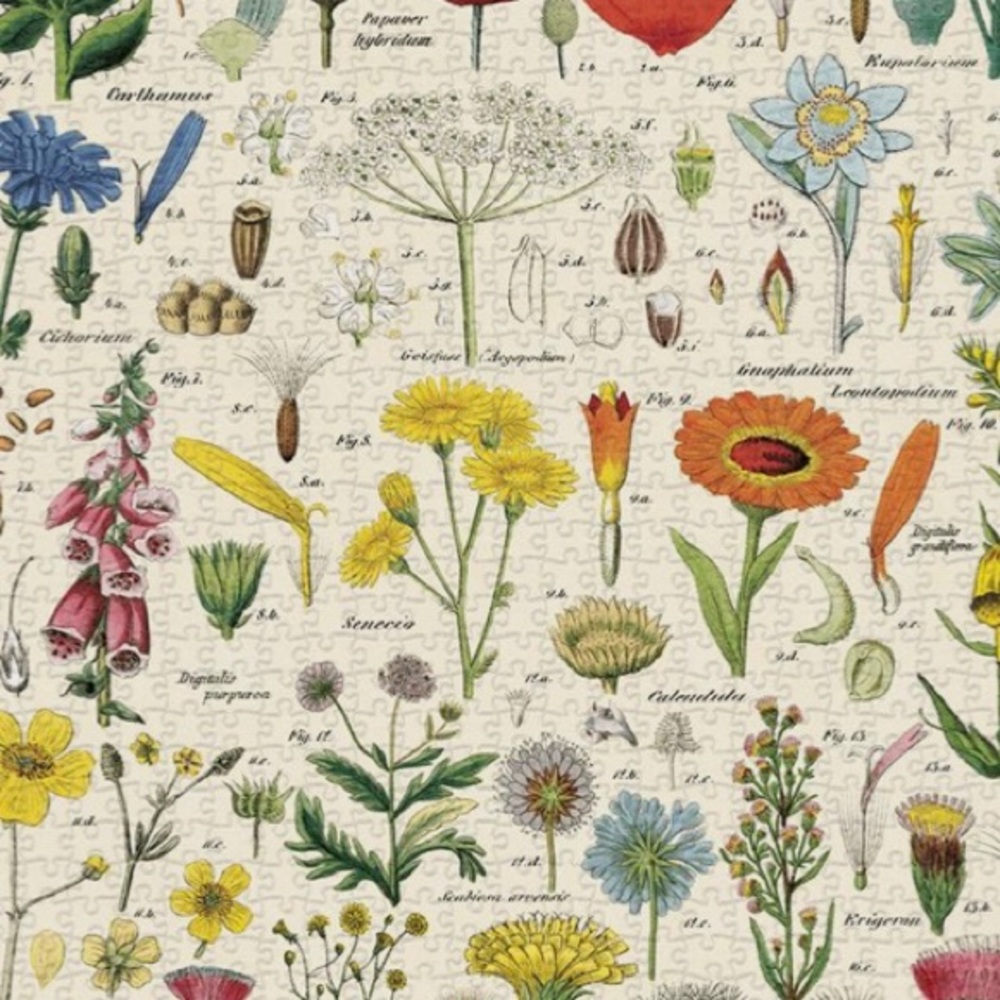 SpringTime🌸🤞 - Picture 5 of 16